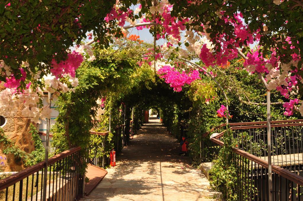 Siesta Beach Apartment Bodrum Buitenkant foto