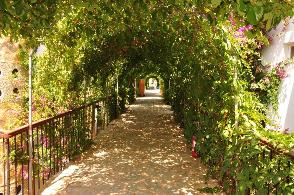 Siesta Beach Apartment Bodrum Buitenkant foto