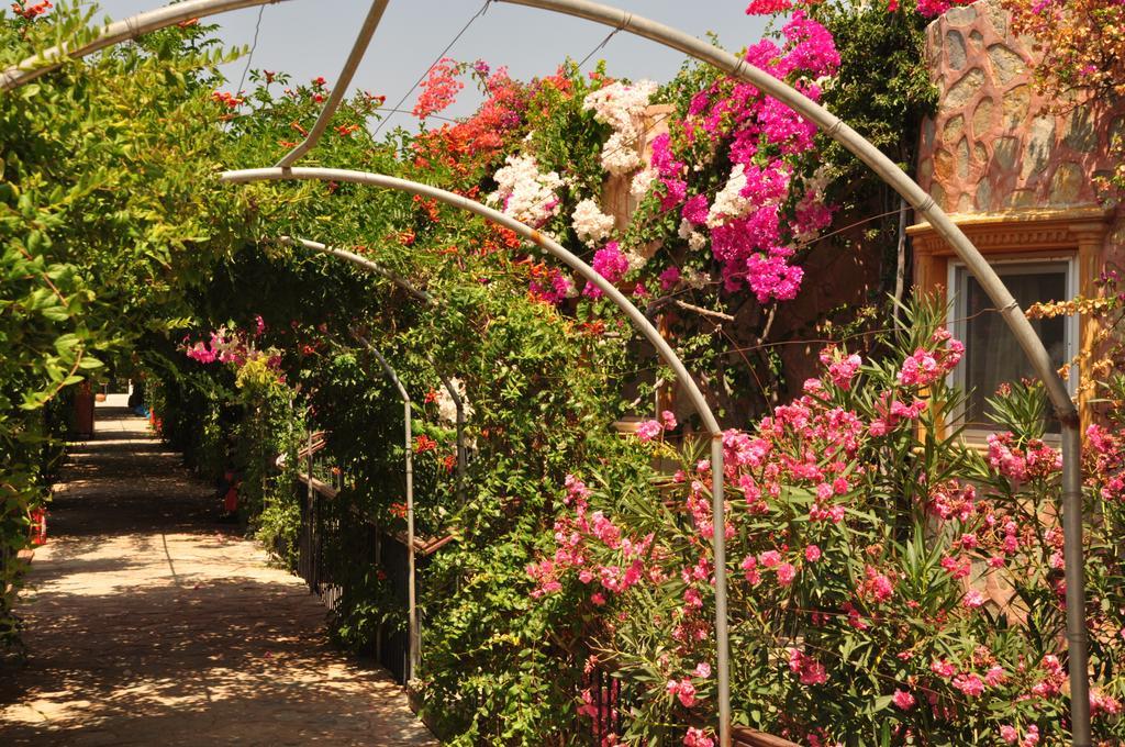 Siesta Beach Apartment Bodrum Buitenkant foto