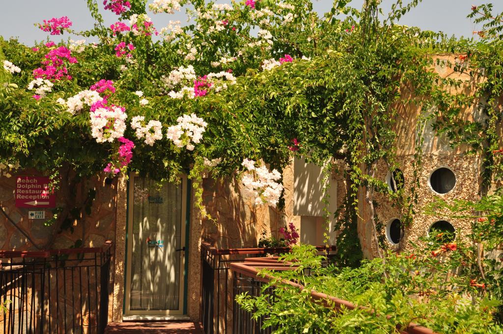 Siesta Beach Apartment Bodrum Buitenkant foto