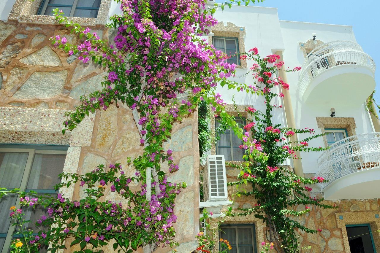 Siesta Beach Apartment Bodrum Buitenkant foto